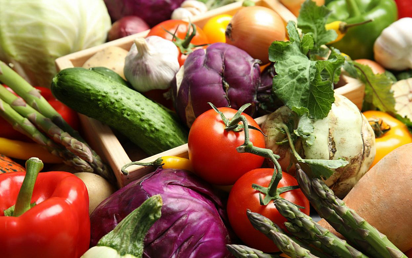 Фото: elements.envato.com