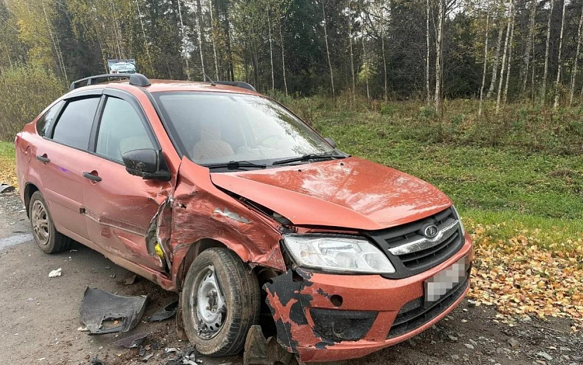 Фото: Госавтоинспекция Удмуртии