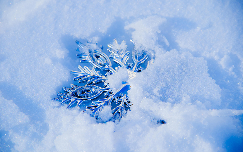 Фото: Данил Иванов
