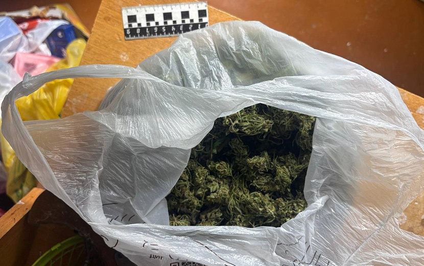 Фото: пресс-служба МВД по Удмуртии