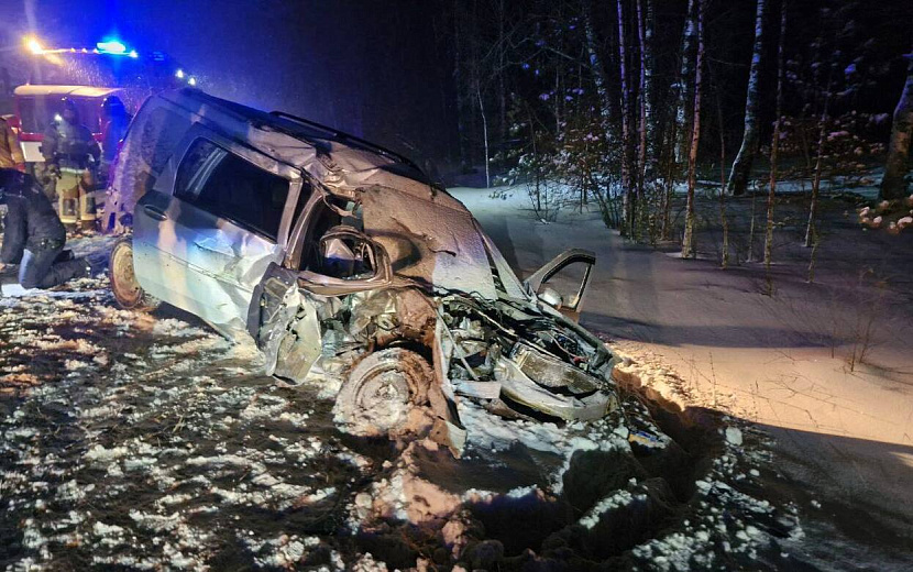 Фото: Госавтоинспекция Удмуртии