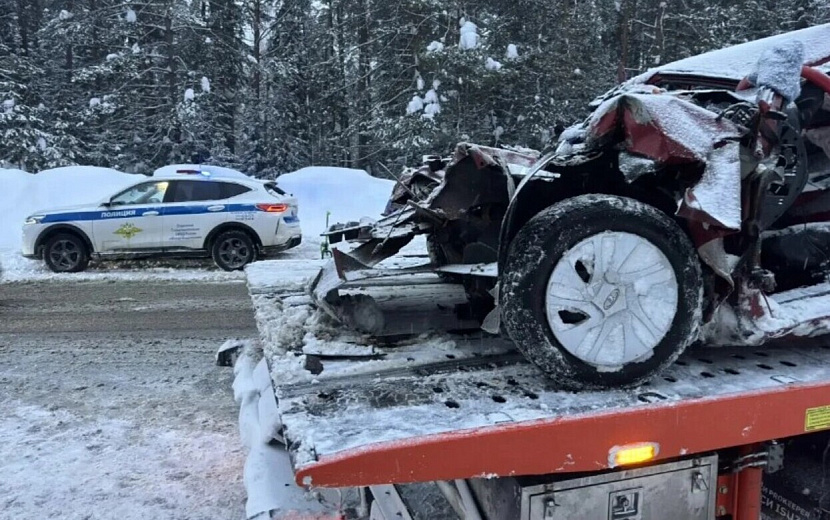 Фото: Госавтоинспекция Удмуртии