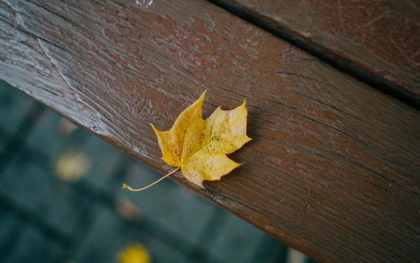 Фото: Мария Бакланова