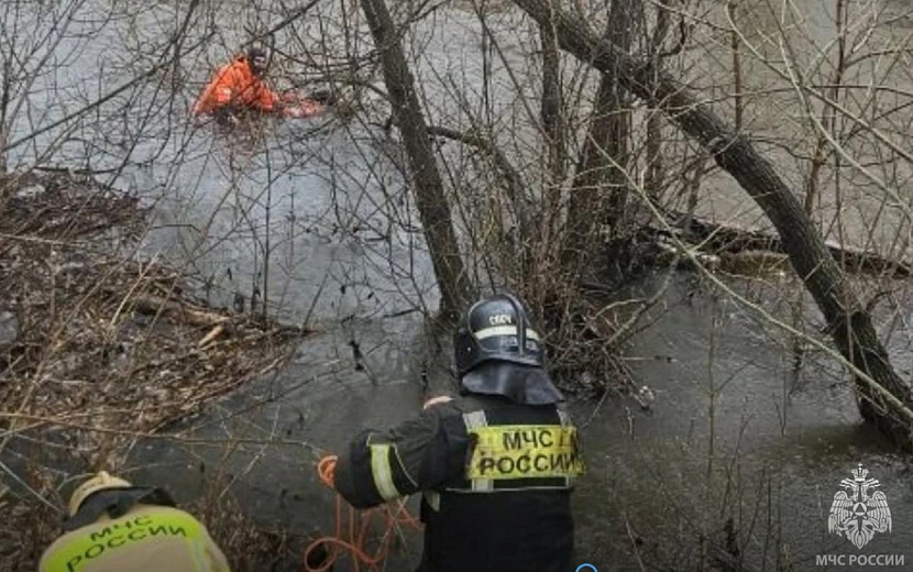 Фото: пресс-служба ГУ МЧС по Удмуртии