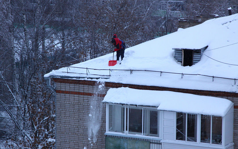 Фото: Сергей Грачев