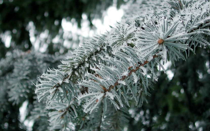 Что принесет второй месяц зимы? Фото: архив редакции
