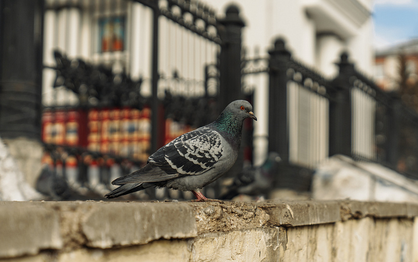 Фото: Маша Бакланова