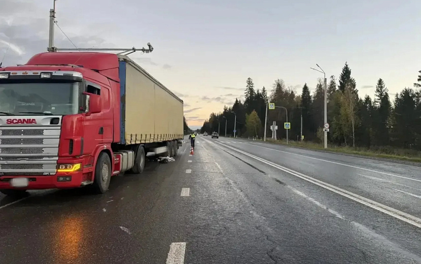 Фото: Госавтоинспекция Удмуртии 