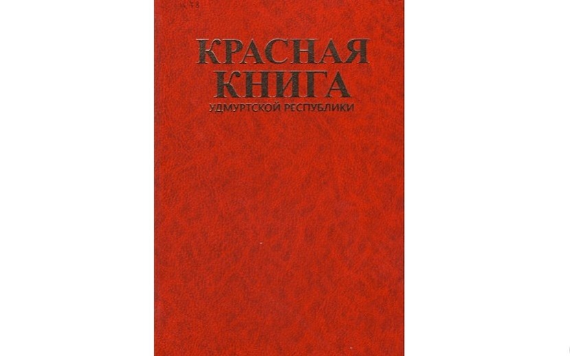 Фото: udmrbdu.ru