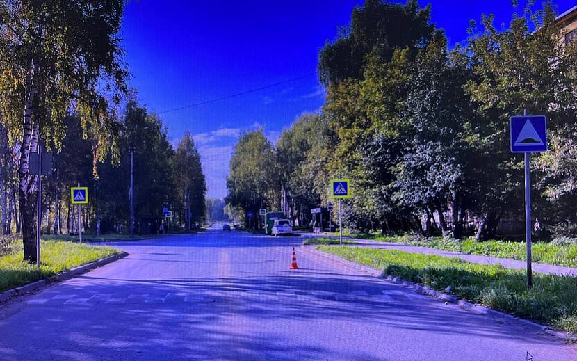 Фото: Госавтоинспекция Удмуртии