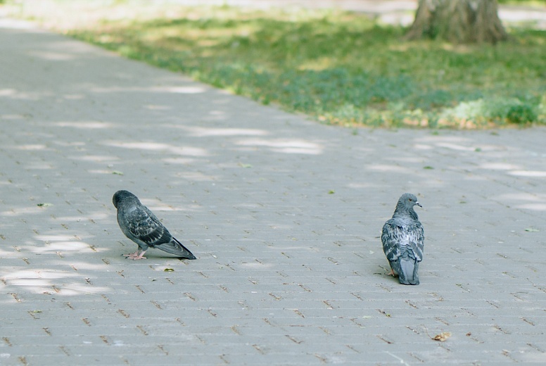 Фото: Мария Бакланова