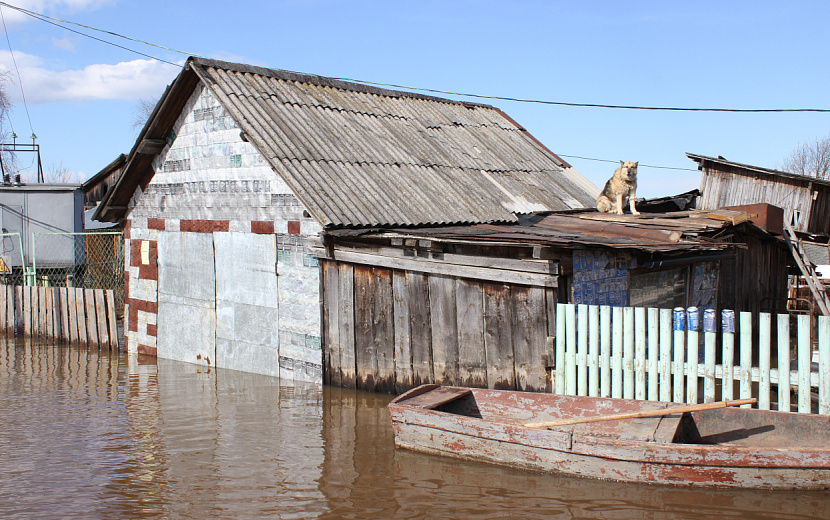 Высота снежного покрова в Удмуртии достигает 90 см. Фото: Сергей Грачев