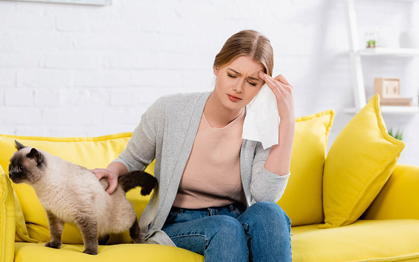 Фото: envato.com