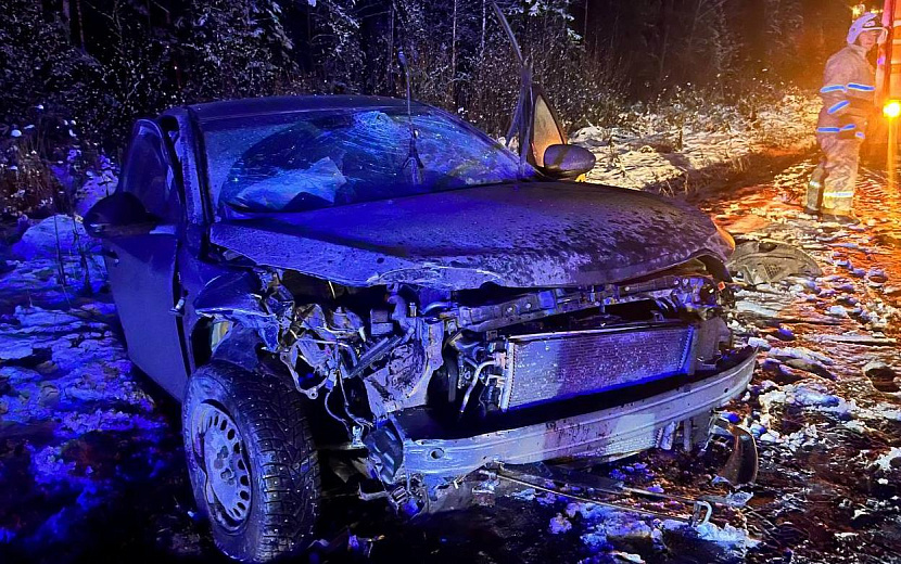 Фото: Госавтоинспекция Удмуртии