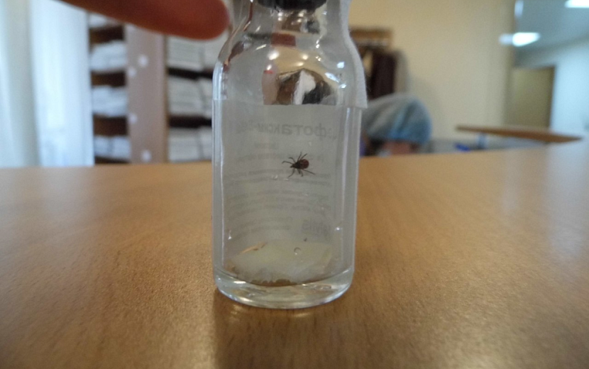 Фото: архив редакции