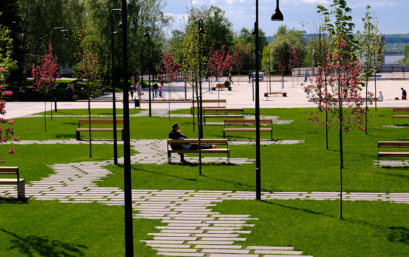 Фото: Алена Селезнева 