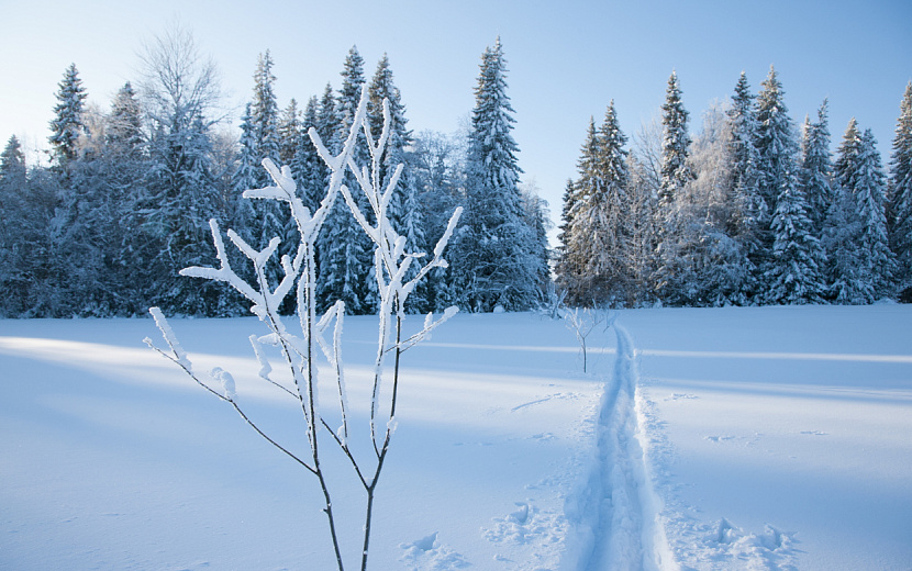 Водителей призывают быть внимательными на дорогах. Фото: Сергей Грачев
