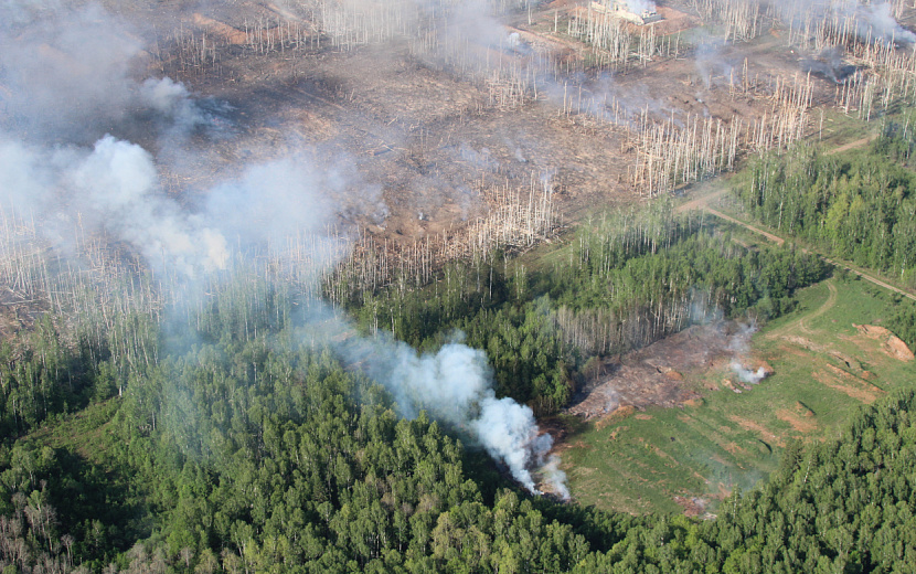 Фото: Ольга Михайлова