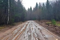 Миндортранс Удмуртии предложил жителям скинуться на заинтересовавшую Бастрыкина дорогу