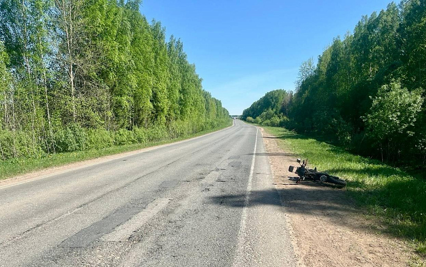 Фото: Госавтоинспекция Удмуртии