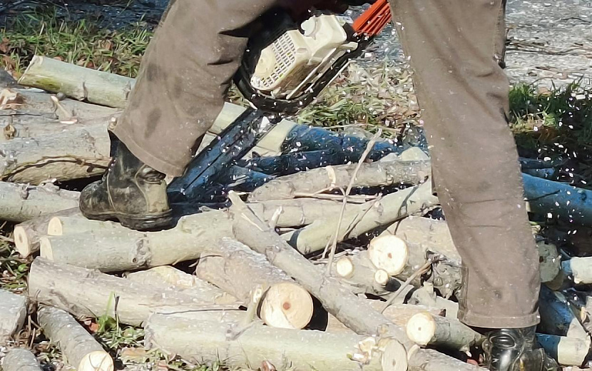 Фото: Дана Солнцева