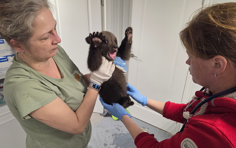 Фото: vk.com/obrcrussia