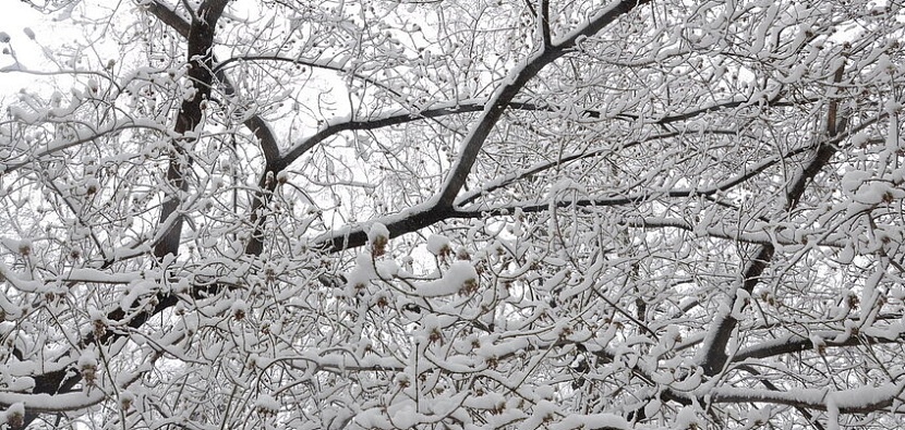 Архив редакции