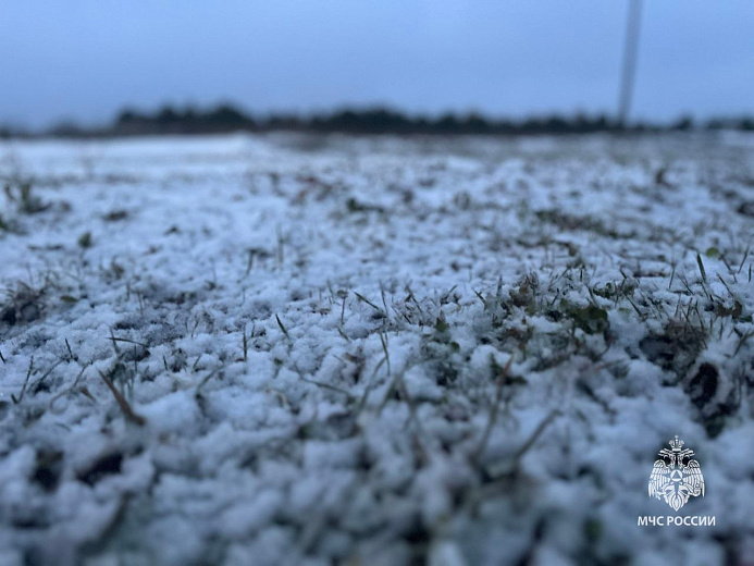 Фото: МЧС России