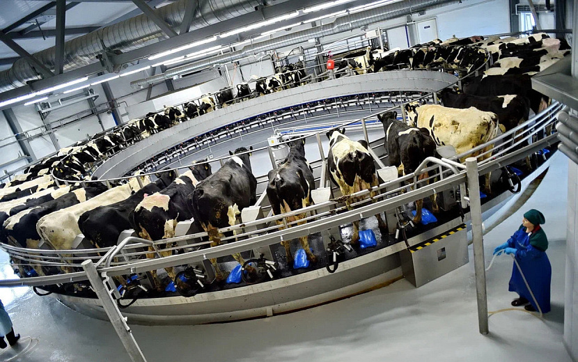 Фото: пресс-служба Главы и Правительства Удмуртии