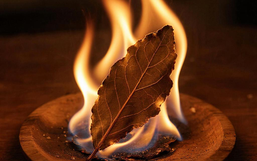 Фото: Нейросеть giga.chat