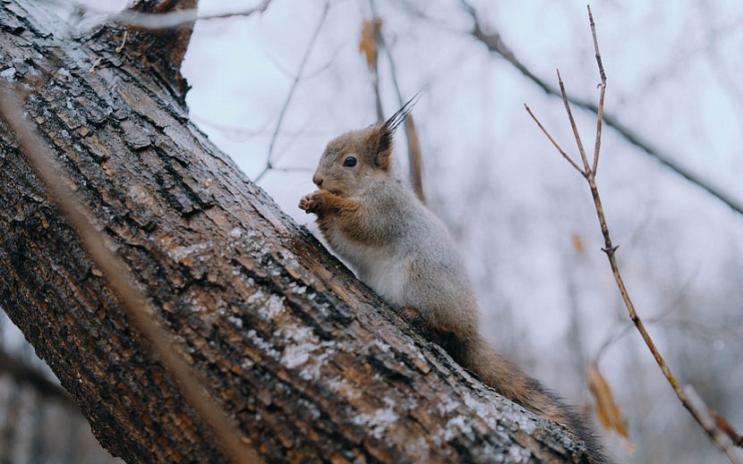 Фото: Маша Бакланова