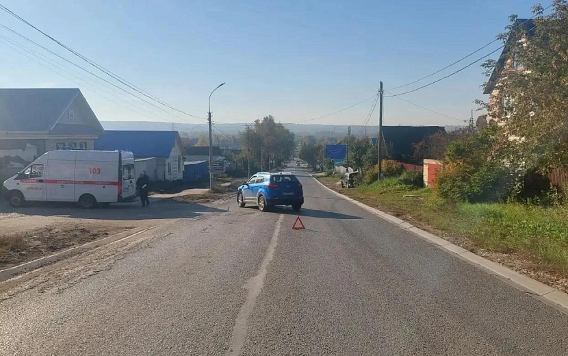 Фото: Госавтоинспекция Удмуртии