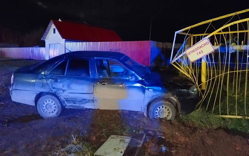 Фото: Госавтоинспекция Удмуртии