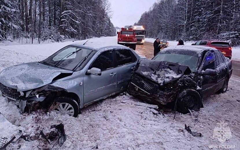 Фото: 1-й отдел УГИБДД по Удмуртии