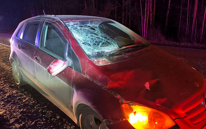 Фото: Госавтоинспекция Удмуртии