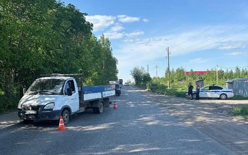 Фото: Госавтоинспекция Удмуртии