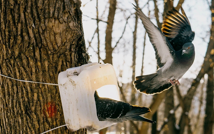  Что обсуждают в Ижевске сегодня? Фото: Мария Бакланова