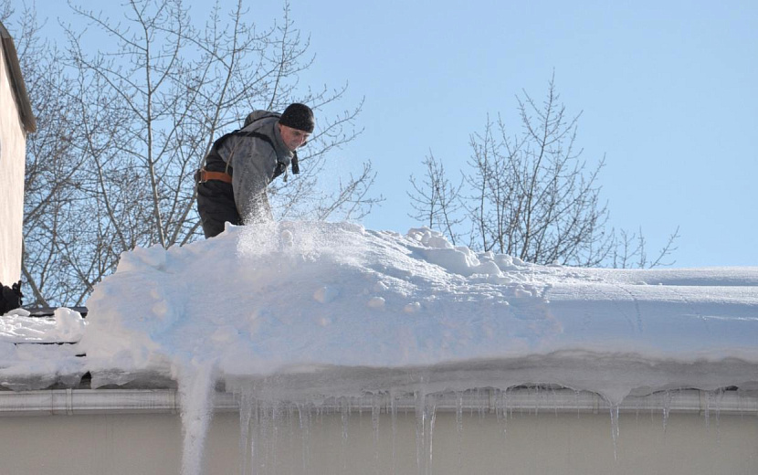 Фото: Константин Ившин
