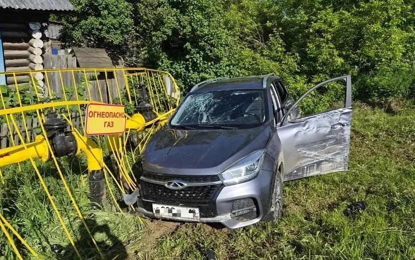 Фото: Госавтоинспекция Удмуртии