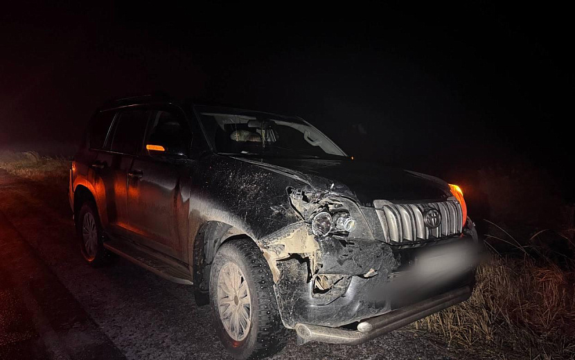 Фото: Госавтоинспекция Удмуртии