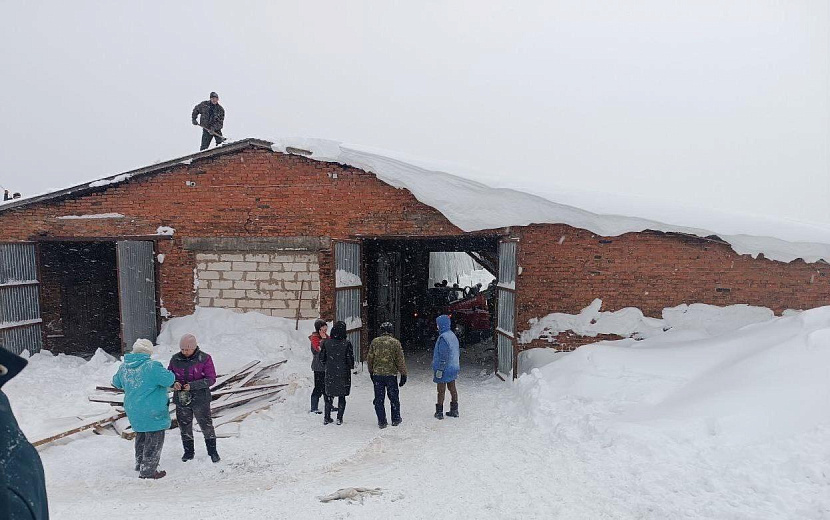 Фото: Поисково-спасательная служба Удмуртии