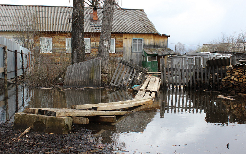 Фото: Сергей Грачев (архив)