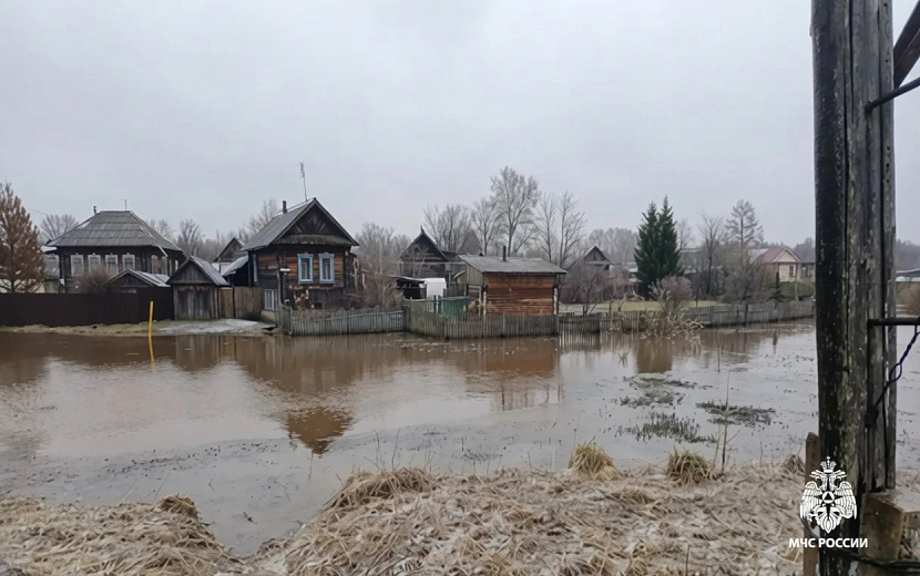 Вода продолжает прибывать в некоторых населенных пунктах Удмуртии. Фото: МЧС УР 