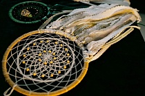 Лунный календарь на неделю: прогноз по здоровью и отношениям с 1 по 7 апреля