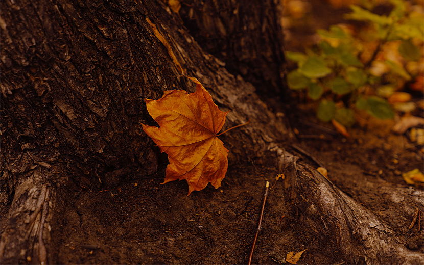 Фото: Мария Бакланова