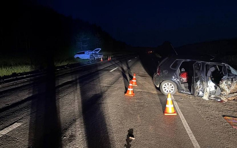 Фото: Госавтоинспекция Удмуртии