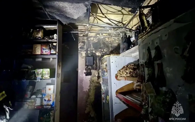 Фото: пресс-служба ГУ МЧС по Удмуртии