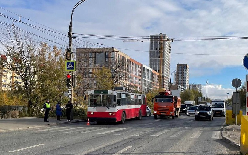 Фото: Госавтоинспекция Удмуртии