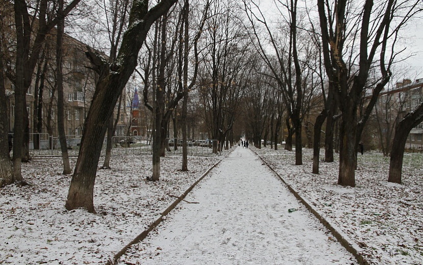 Во вторник в Ижевске ожидается пасмурная погода. Фото: Архив редакции