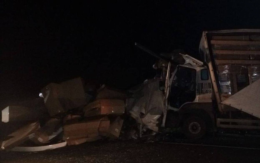 Фото: Госавтоинспекция Удмуртии